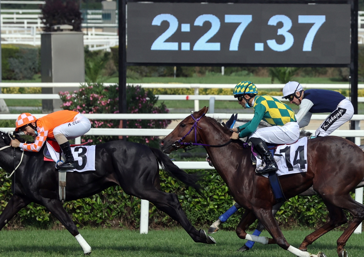 95. Gazi Koşusu'nu “Burgas” kazandı