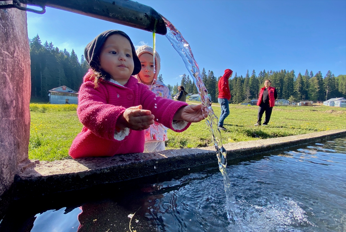 Düzce'de doğaseverlerin yeni adresi yaylalar oldu