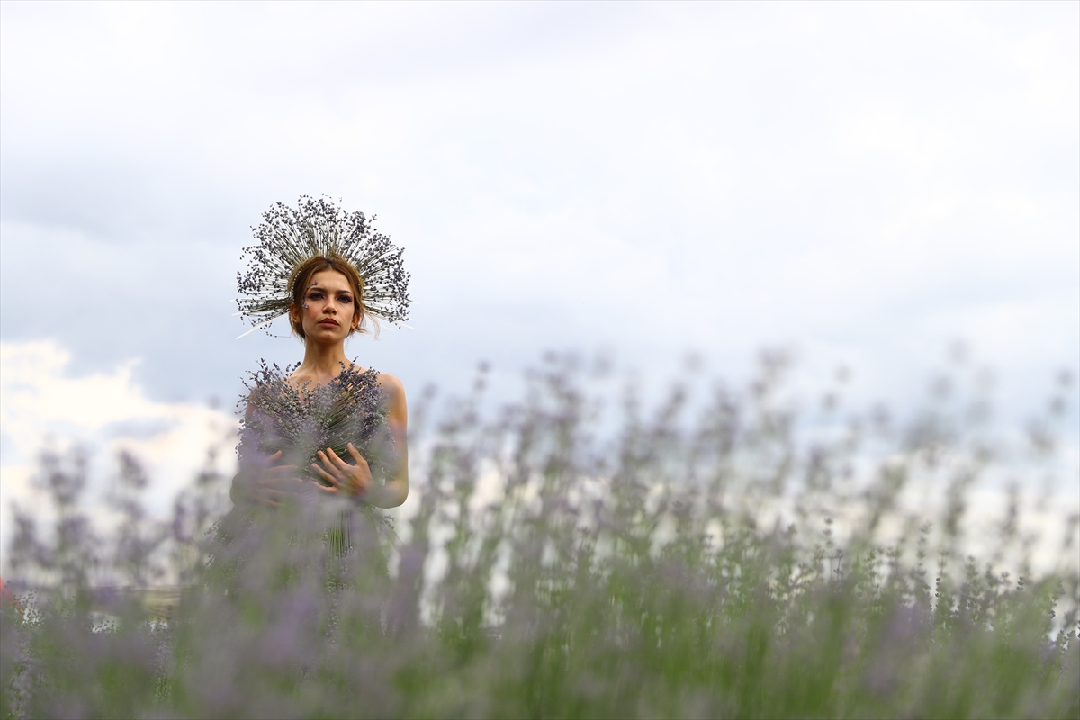 Lavanta dallarıyla süslenen elbiseli modelle fotoğraf çektirmek için sıraya girdiler