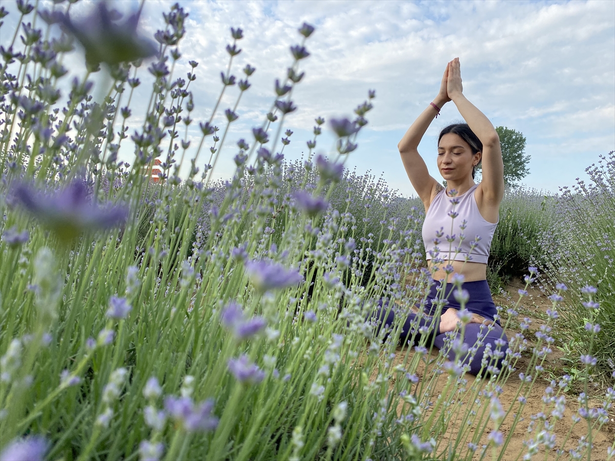 Lavantalar arasında yoga yaparak güne başladılar