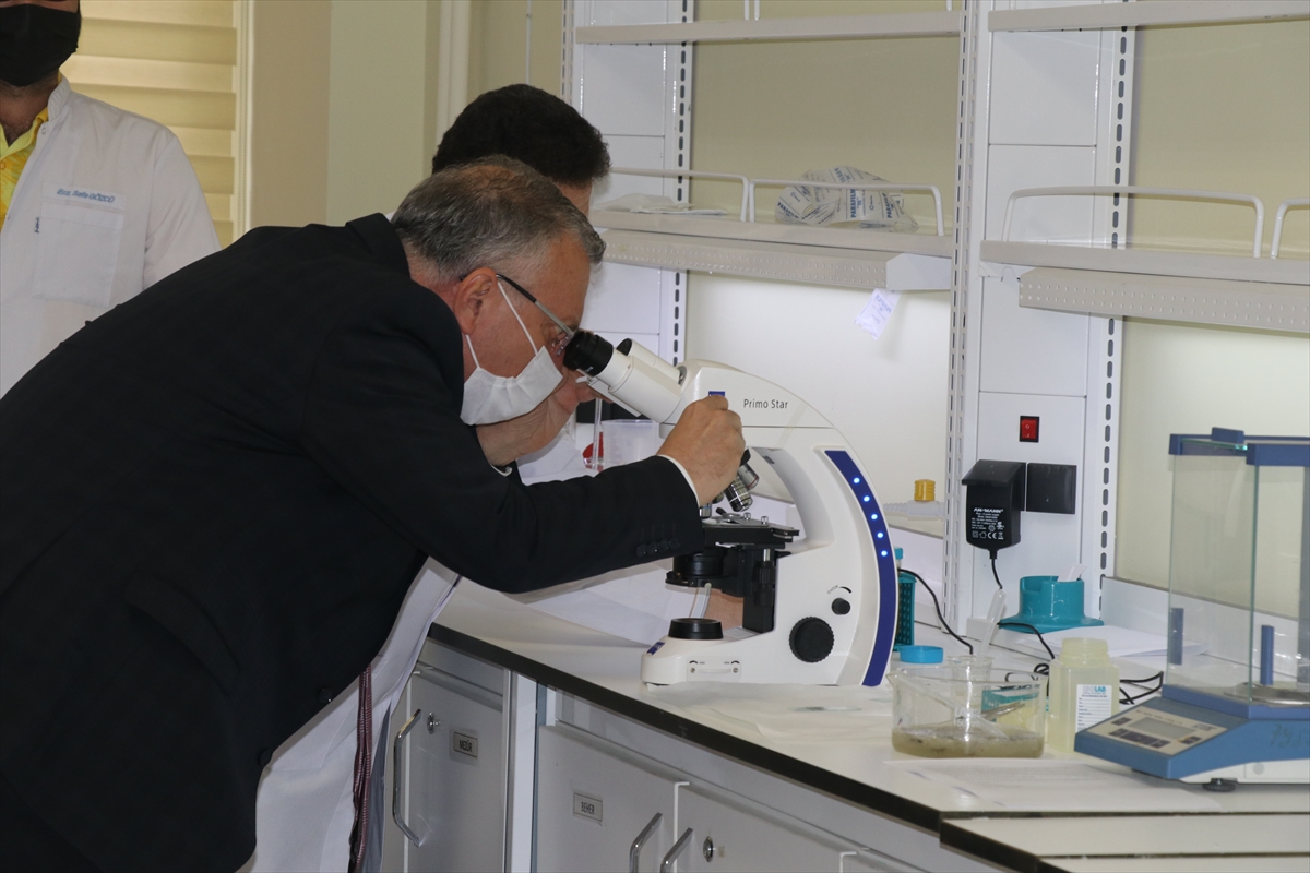 Marmara Denizi'nde görülen müsilaja “mikroalg” florası tespiti