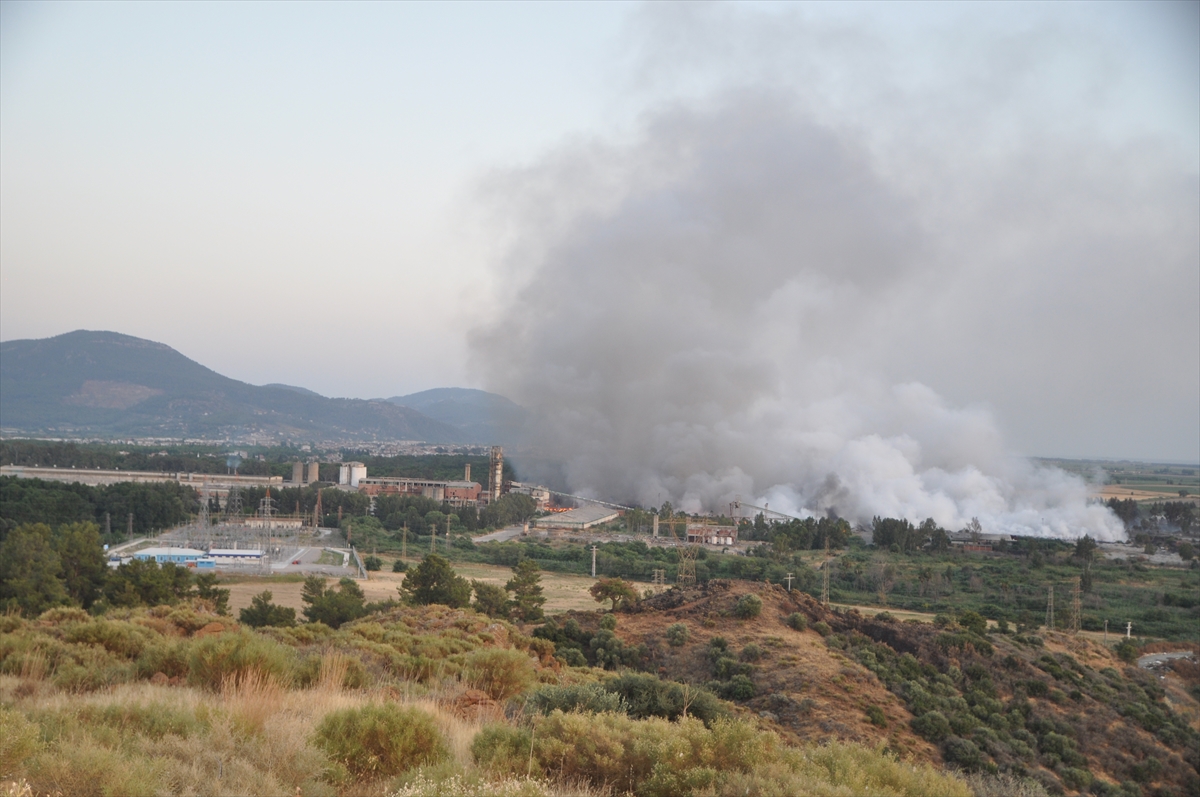 GÜNCELLEME – Muğla'da plastik atık deposundan ormana sıçrayan yangın kontrol altına alındı