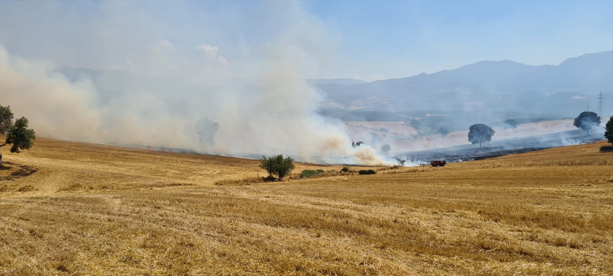 Osmaniye'de çıkan anız yangını ormanlık alana sıçramadan söndürüldü