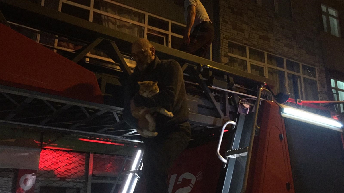 Samsun'da  apartman boşluğuna düşen kediyi itfaiye kurtardı