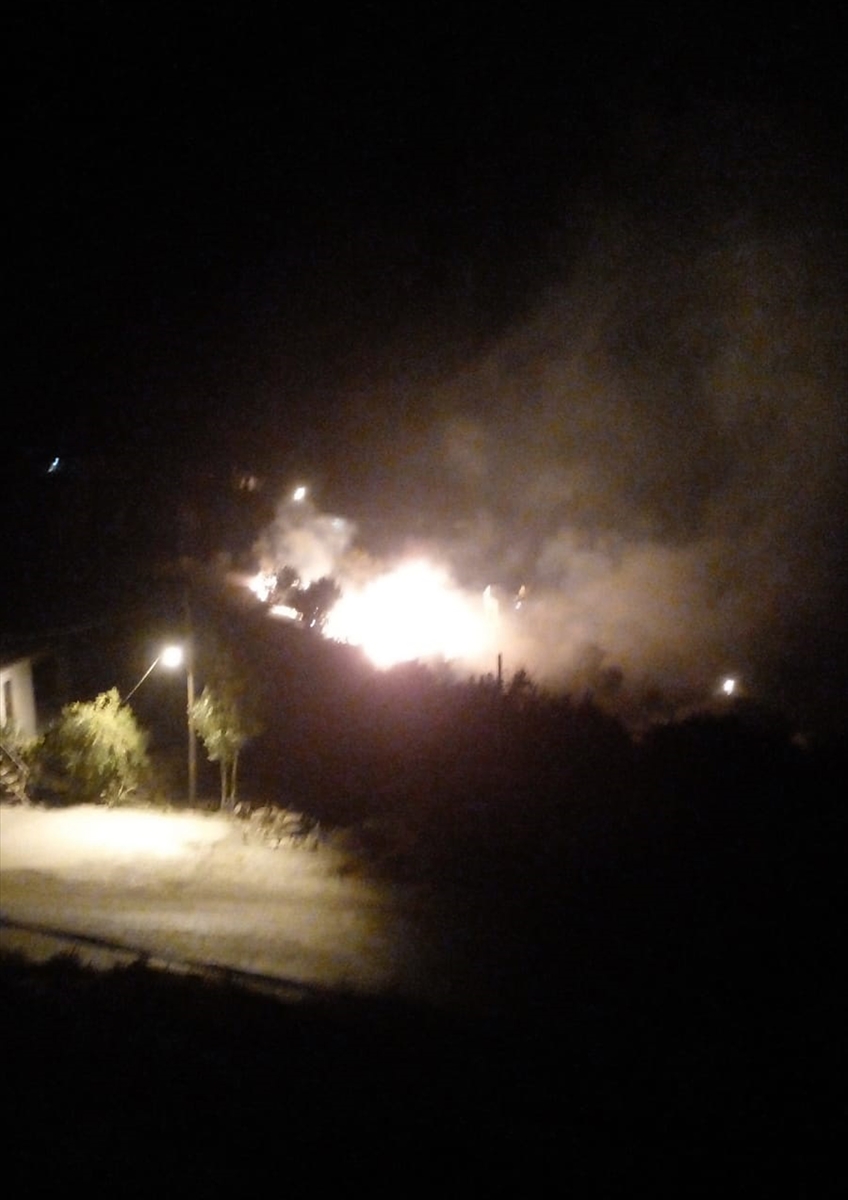 Alanya'da zirai alanlarda çıkan yangınlar söndürüldü