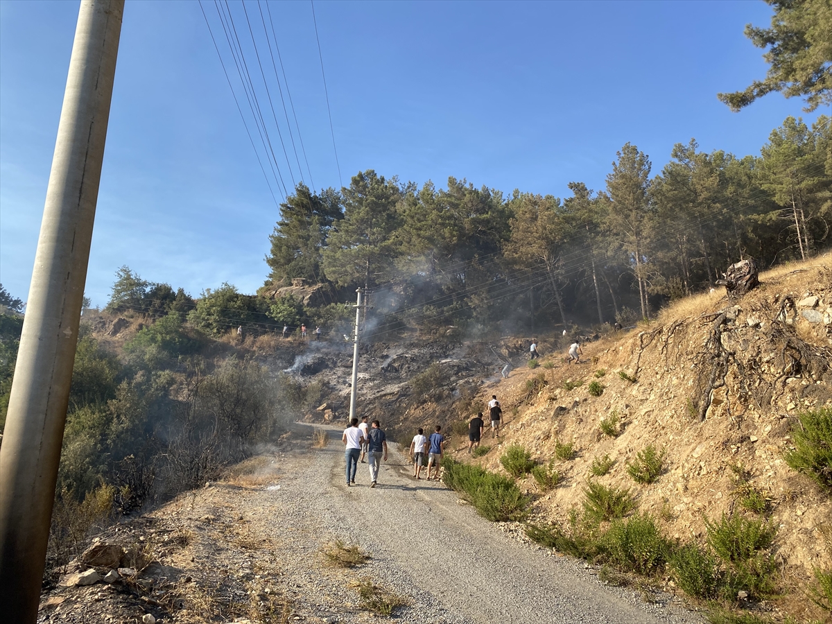 Antalya'nın Gazipaşa ilçesinde çıkan yangında 6 dönüm alan zarar gördü