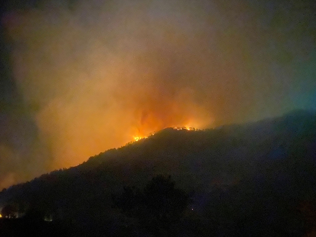 Antalya'nın Gazipaşa ilçesinde orman yangını başladı