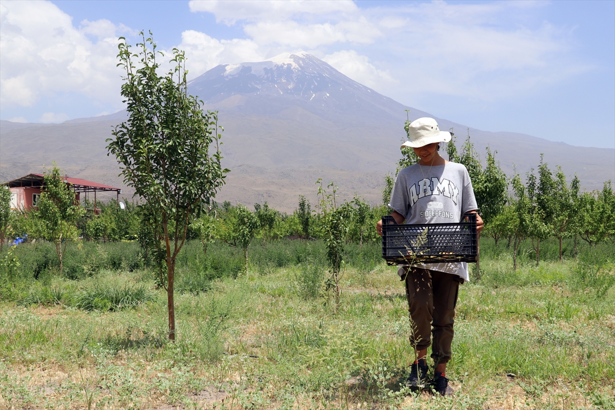 Bahçe işlerinden fırsat bulup tatile götürmediği çocukları için Ağrı Dağı manzaralı havuz inşa etti