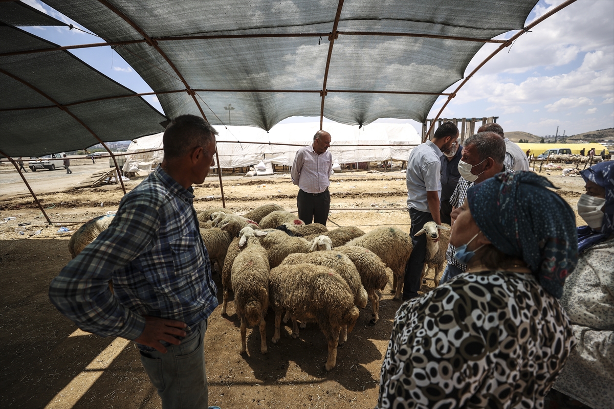 Başkentte bayramın üçüncü gününde de hayvan pazarlarında kurban satışları sürüyor