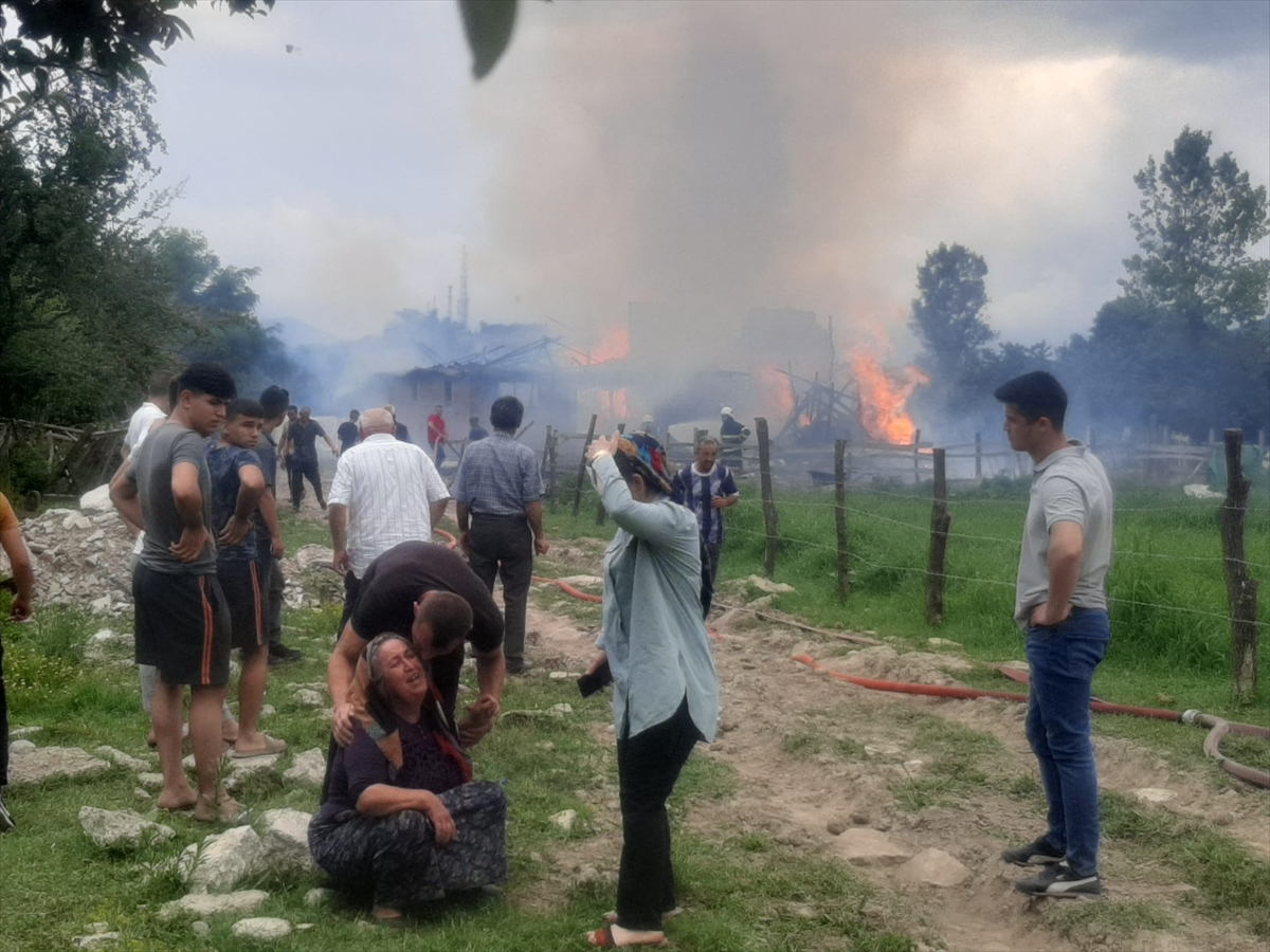 Düzce'de çıkan yangında hayvan besi çiftliği kullanılamaz hale geldi