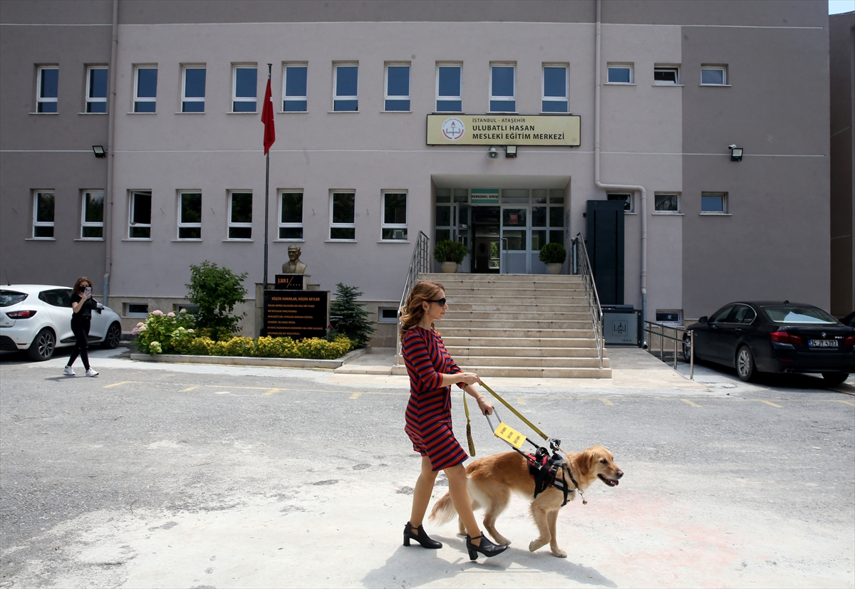 Görme engelli öğretmen, rehber köpeği “Angel” ile artık daha özgürce dolaşabiliyor