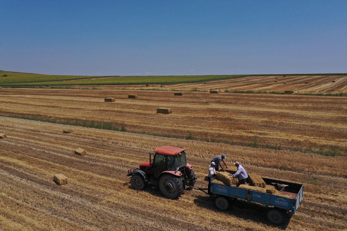 Trakya çiftçisi bayramda da üretime devam ediyor