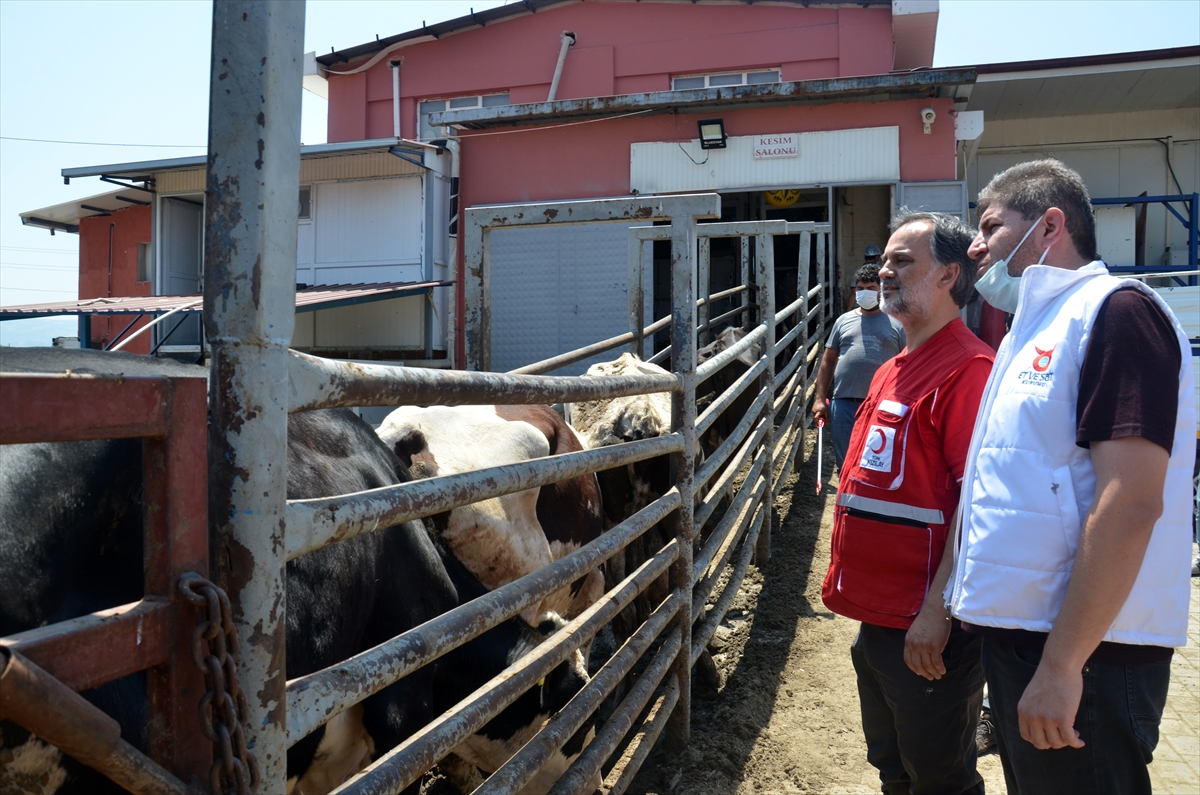 Türk Kızılay Genel Müdürü Altan, Aydın'da kurban kesim çalışmalarını inceledi