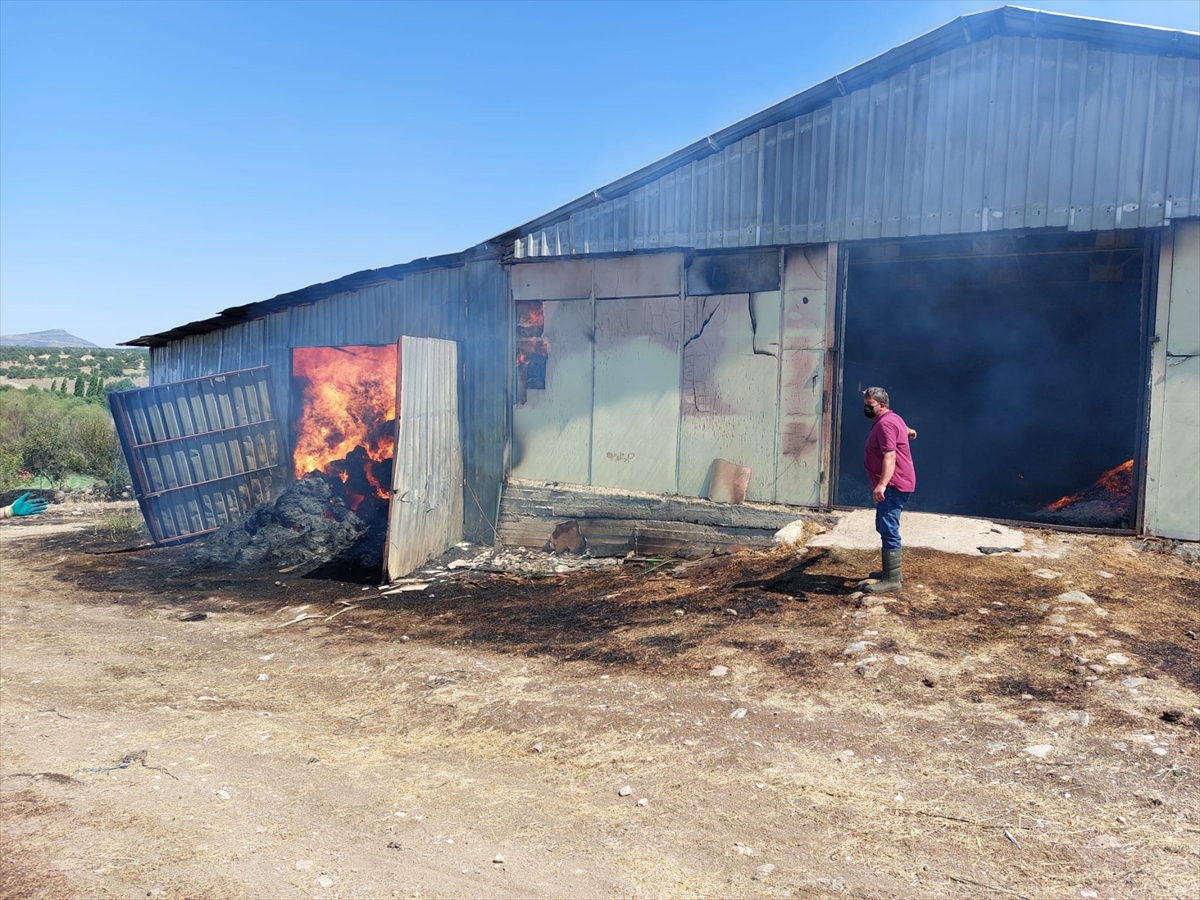 Uşak'ta yangında 55 küçükbaş hayvan telef oldu