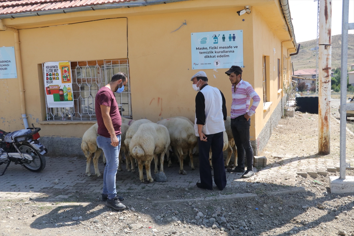 Yozgat'taki canlı hayvan pazarlarında bayramın ikinci günü de hareketlilik yaşandı