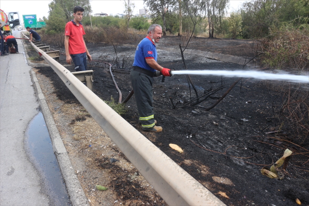 Adana'da otoyol kenarındaki ağaçlık alanda çıkan yangın söndürüldü