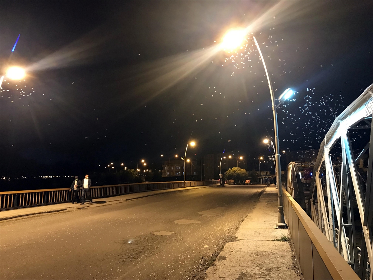 Ardahan'da “bir günlükler”in “ölüm uçuşu” başladı