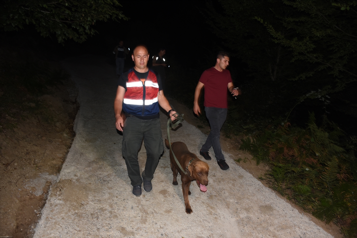 Bartın'da ormanlık alanda kaybolan iki kardeş için arama çalışması başlatıldı