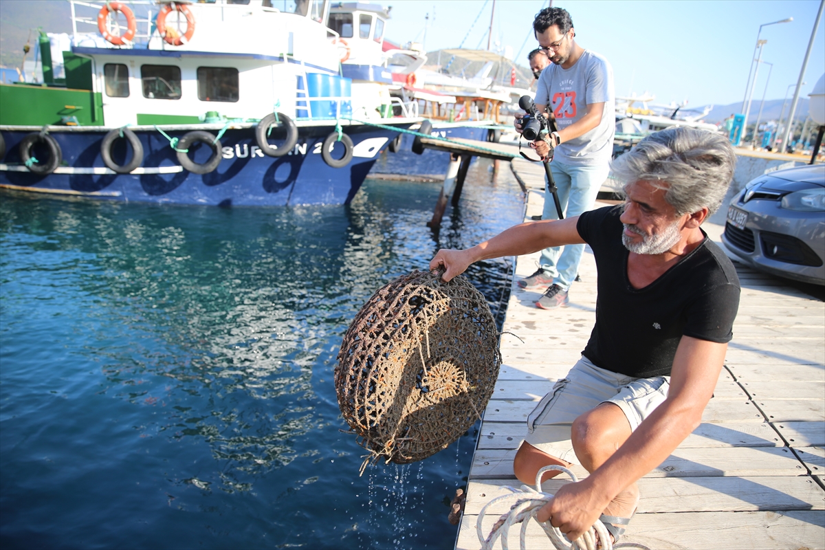 Bodrum'da yeni av sezonunun açılışında denize 30 bin yavru balık bırakıldı
