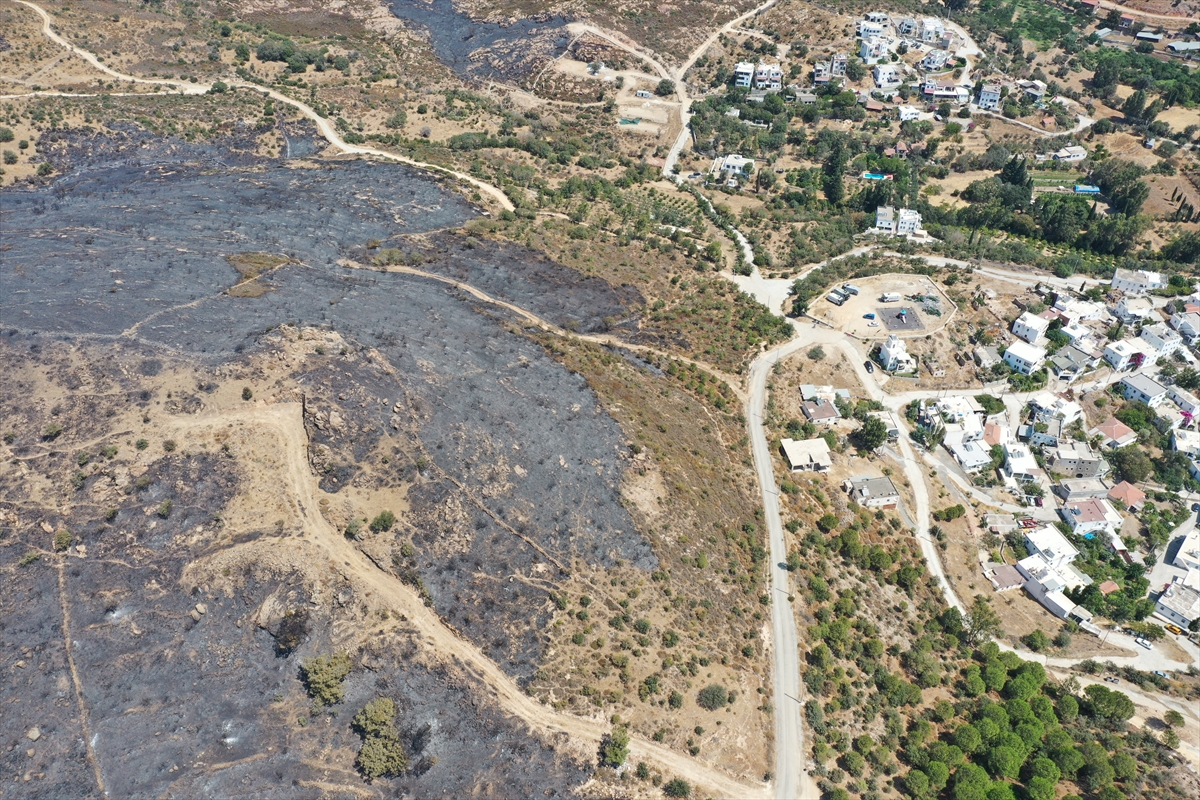 Bodrum'daki makilik ve otluk yangını havadan ve karadan müdahaleyle söndürüldü