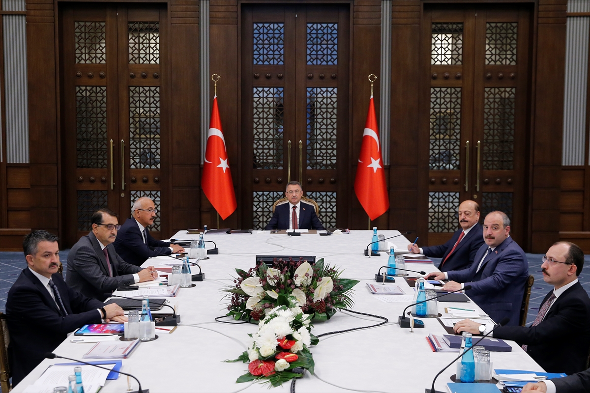 Cumhurbaşkanı Yardımcısı Oktay, Ekonomi Koordinasyon Kurulu Toplantısı'nda konuştu: