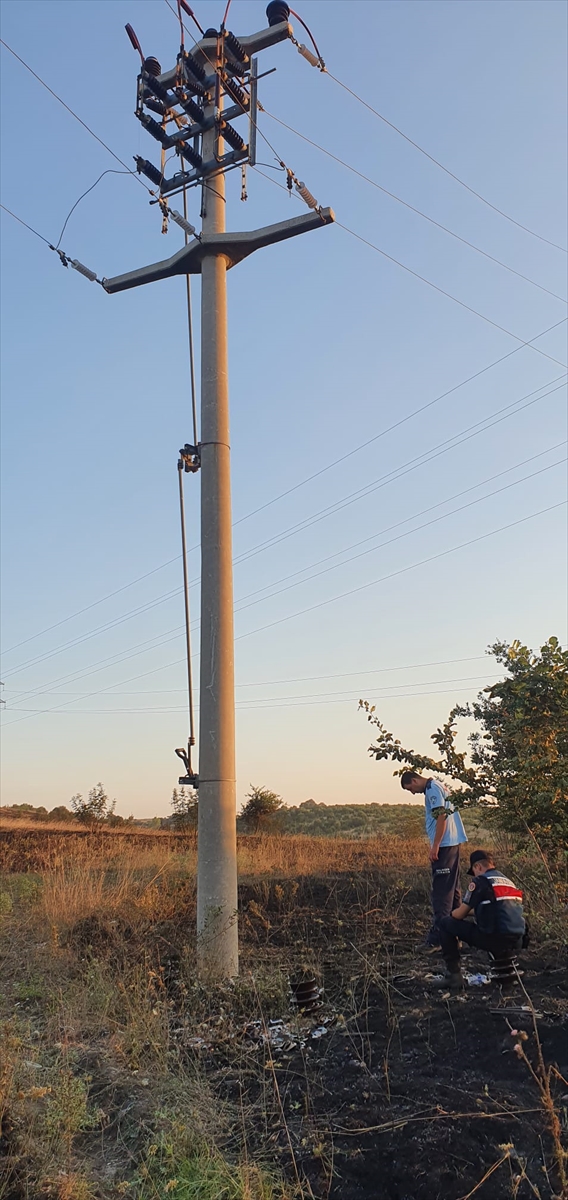 Elektrik akımına kapılan atmaca makilik alanda yangına neden oldu