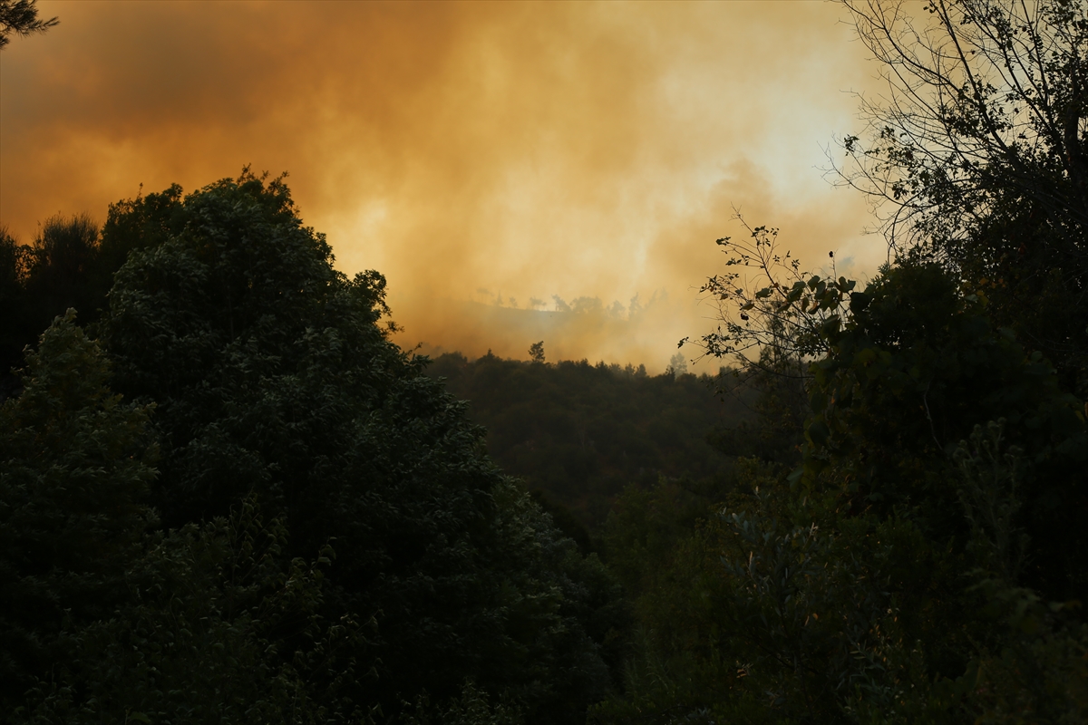 Esed rejimi, saldırılarıyla Türkmen Dağı'nda orman yangını çıkardı