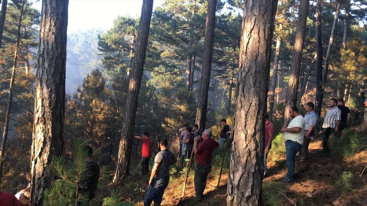 İzmir'de çıkan orman yangını kontrol altına alındı