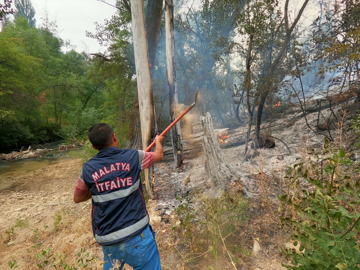 Malatya'da otluk alanda çıkan yangın yerleşim yerlerine sıçramadan söndürüldü