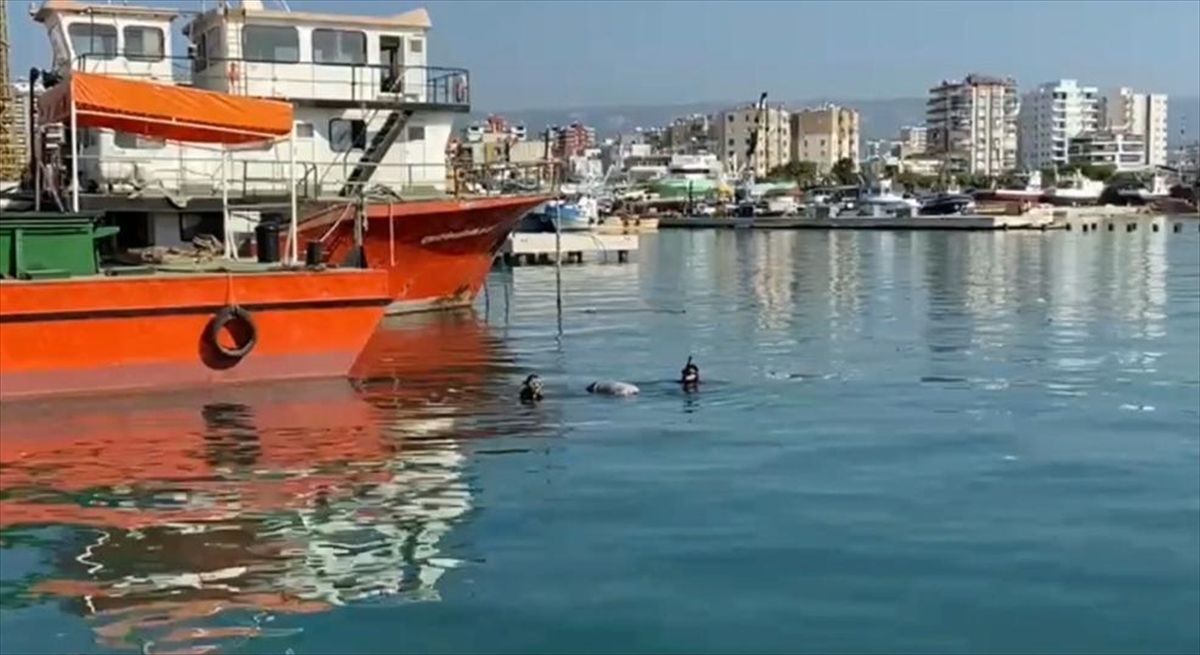 Mersin'de denizde erkek cesedi bulundu