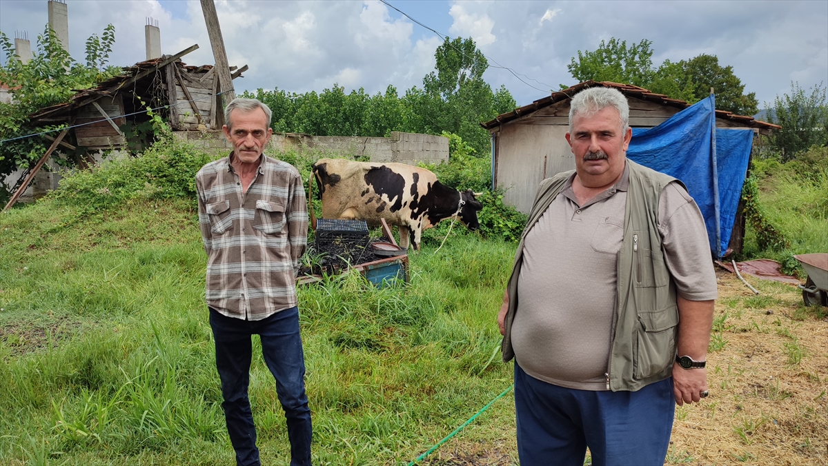 Sakaryalı şehit babası orman yangını mağdurlarına ineğini bağışlayarak destek verdi