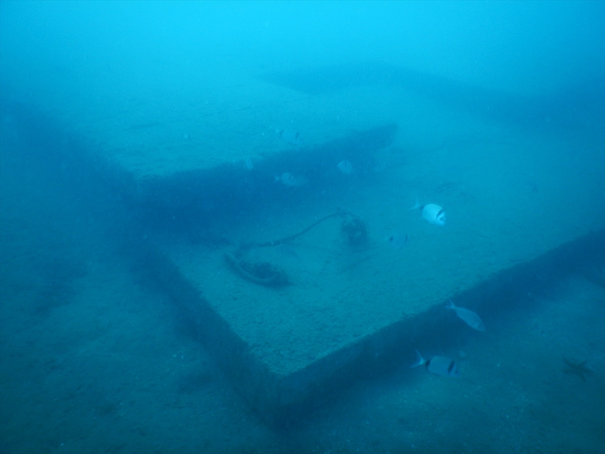 Saros Körfezi'nde su altında oluşturulan “Enez Tarihi Müzesi” balıklara yuva oldu