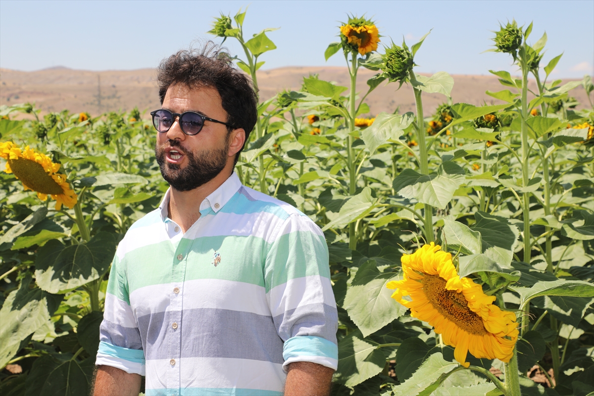 Venedik'te devlet sanatçısı olarak görev yapan Sivaslı tenor, ayçiçeği tarlasında arya söyledi