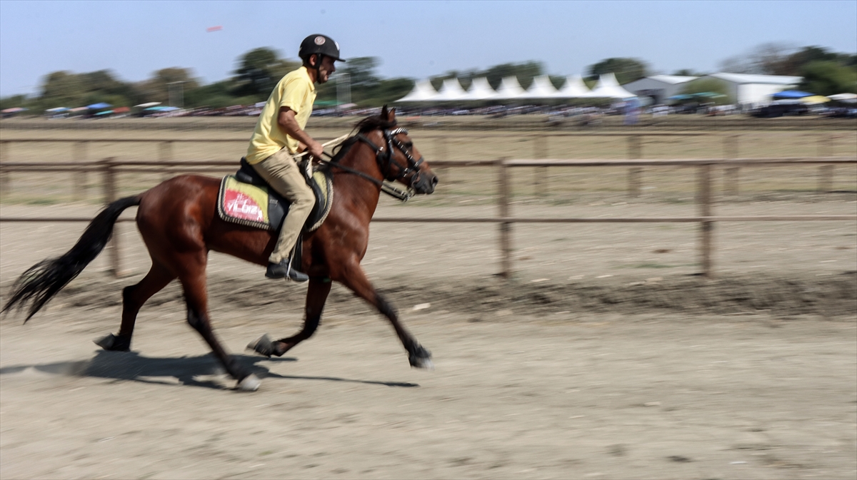 “2021 Rahvan Binicilik Türkiye Şampiyonası” Bursa'da yapıldı