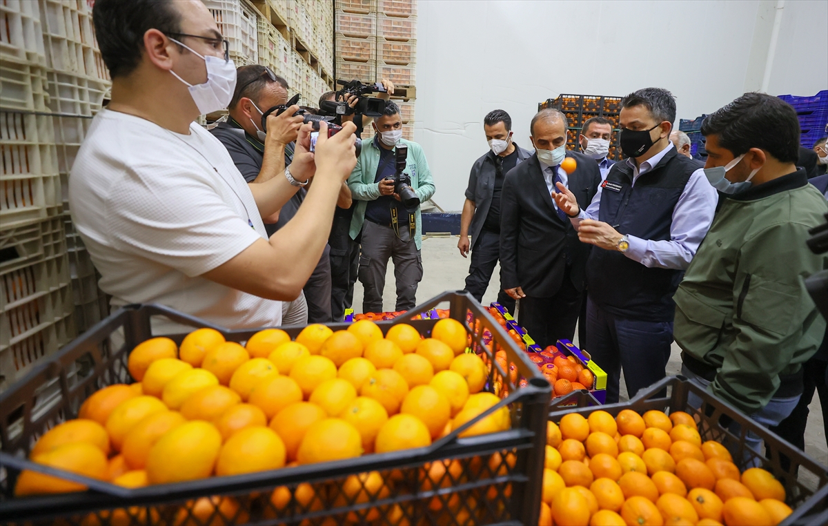 Bakan Pakdemirli, İzmir'de faydalı böcek salımı etkinliğinde konuştu: