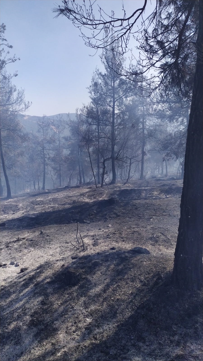 Balıkesir'de çıkan orman yangını kontrol altına alındı