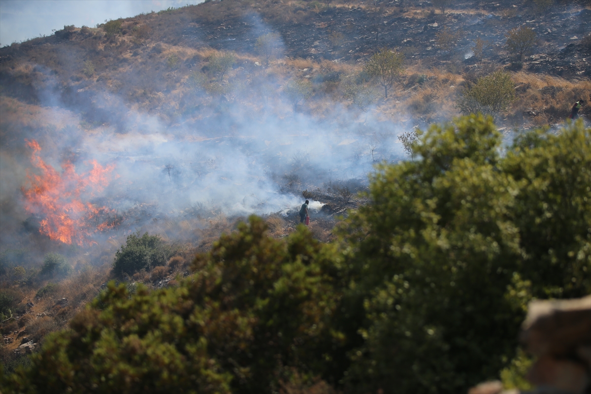 Bodrum ve Milas'taki orman yangınlarına 3 uçak ve 12 helikopterle müdahale ediliyor