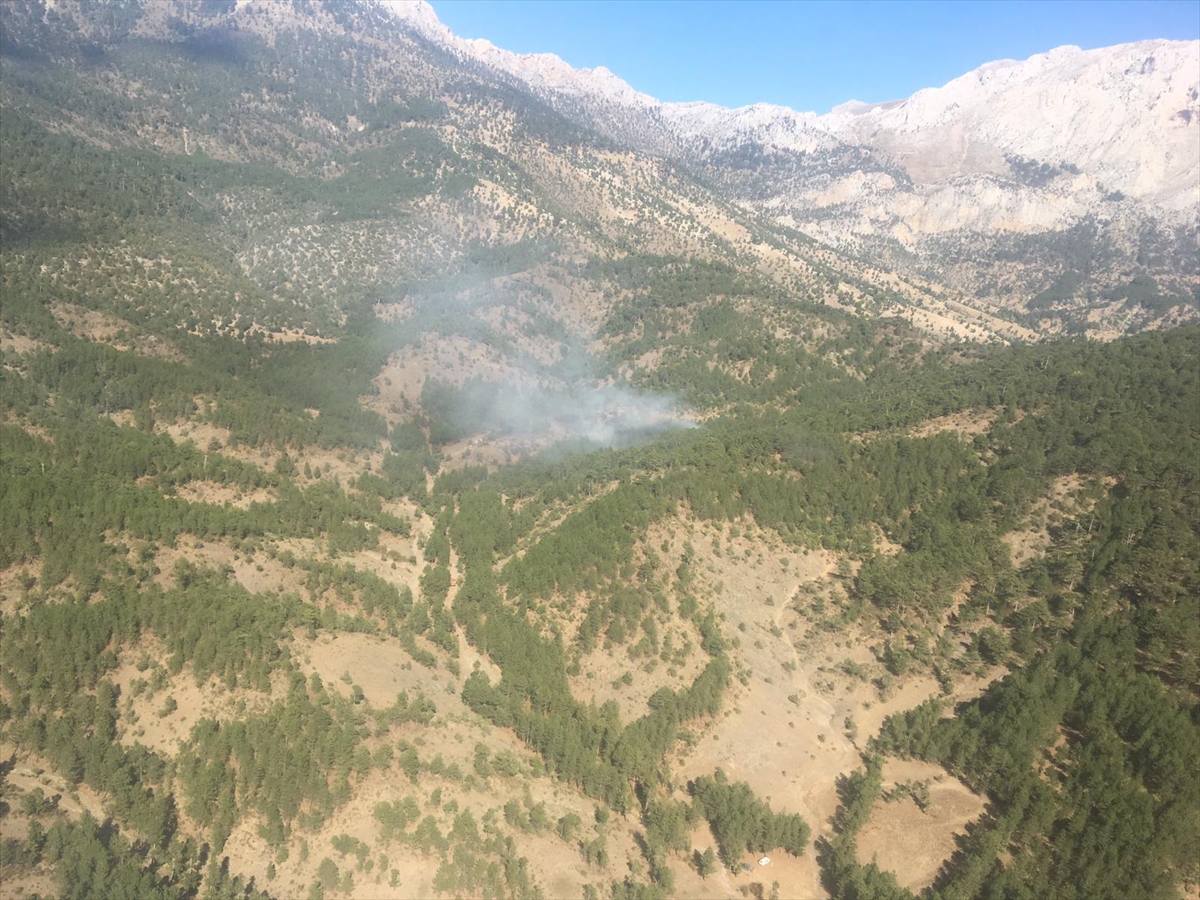 Isparta'da çıkan orman yangınına havadan ve karadan müdahale ediliyor