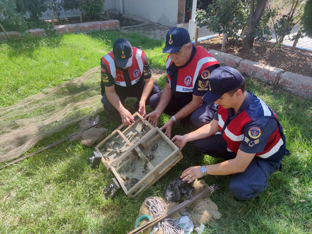 Kahramanmaraş'ta tuzakla saka kuşu avlayan 2 kişiye 43 bin lira ceza