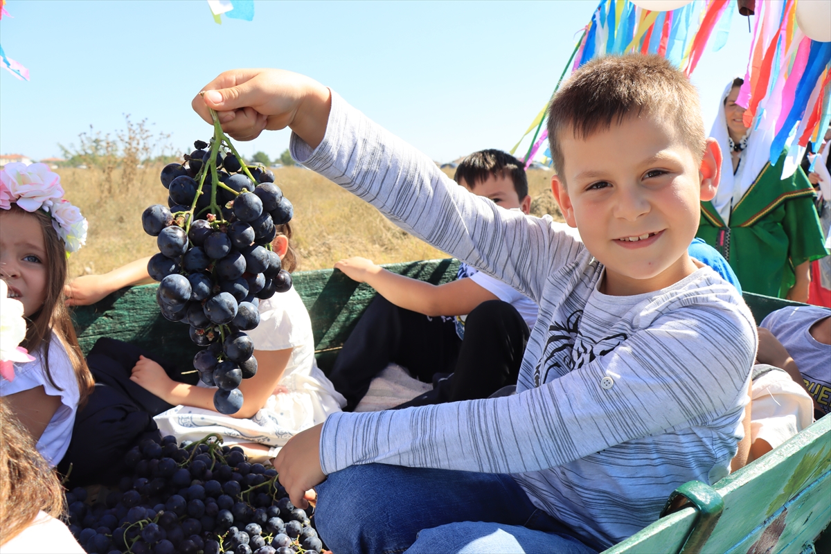 Kırklareli'nde “Kızılcıkdere 1. Bağ Bozumu” etkinliği yapıldı