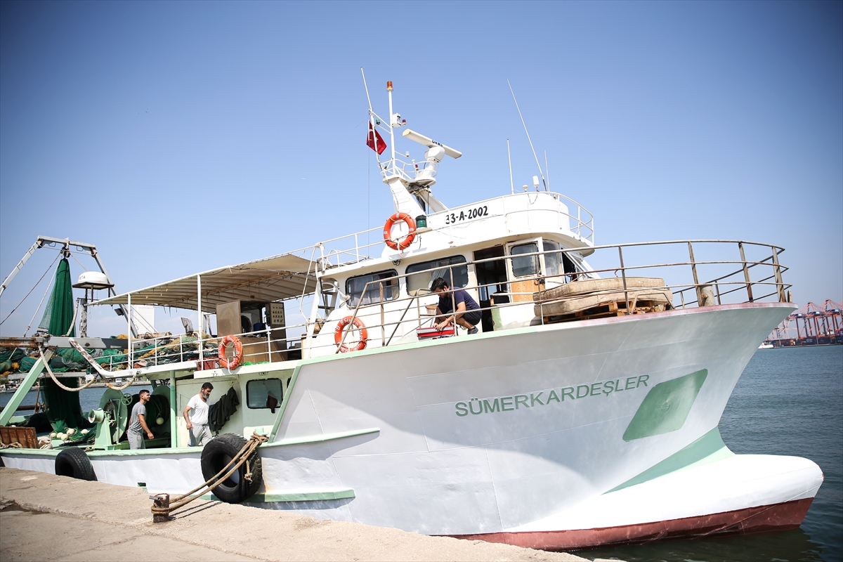 Mersinli balıkçılar denizden “bereketle” döndü