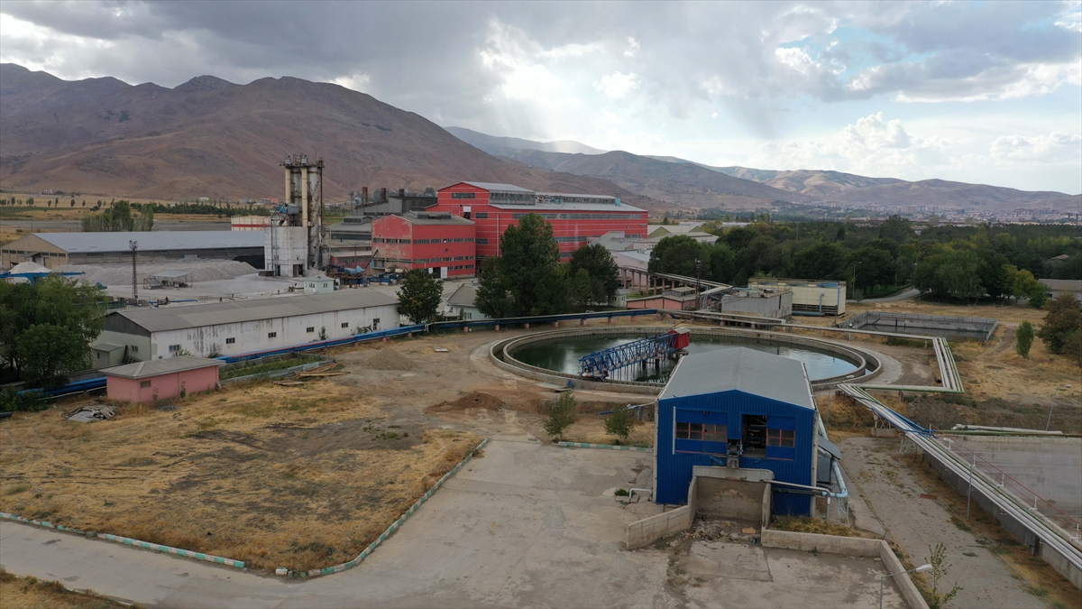 Şeker pancarı alım fiyatının yükselmesi Muş'taki çiftçileri sevindirdi