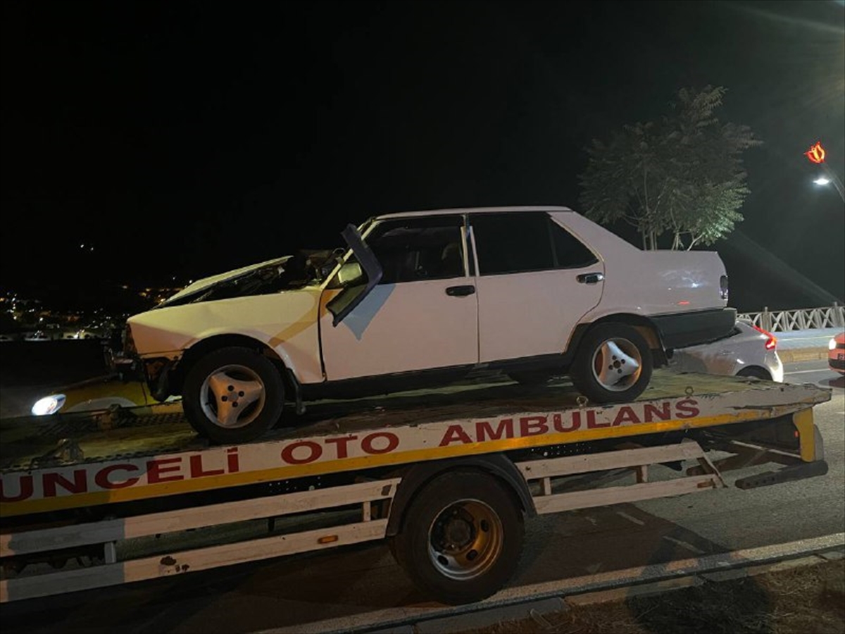 Tunceli'de domuz sürüsünün neden olduğu zincirleme kazada 2 kişi yaralandı