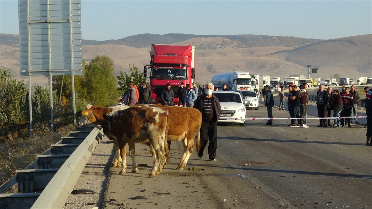 Afyonkarahisar'da otomobille kamyonetin çarpışması sonucu 3 kişi öldü, bir kişi yaralandı