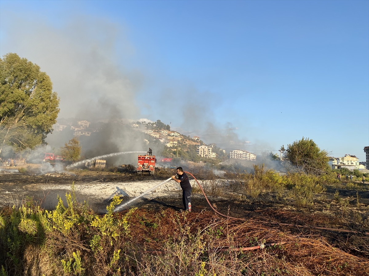Antalya'da çıkan yangında bir ahır ve konteyner yandı