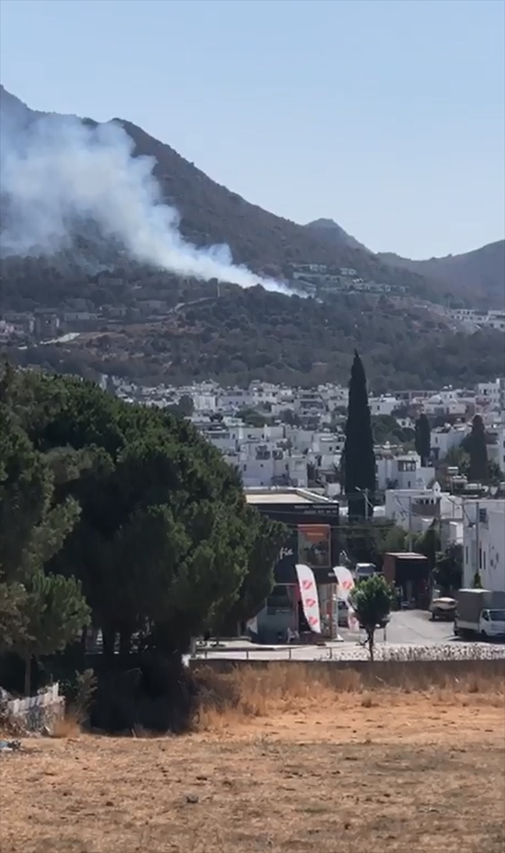 Bodrum'da makilik alanda çıkan yangına müdahale ediliyor