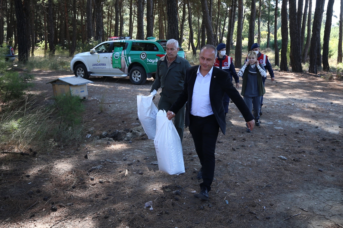 Çanakkale'de sokak hayvanları için mama bırakıldı