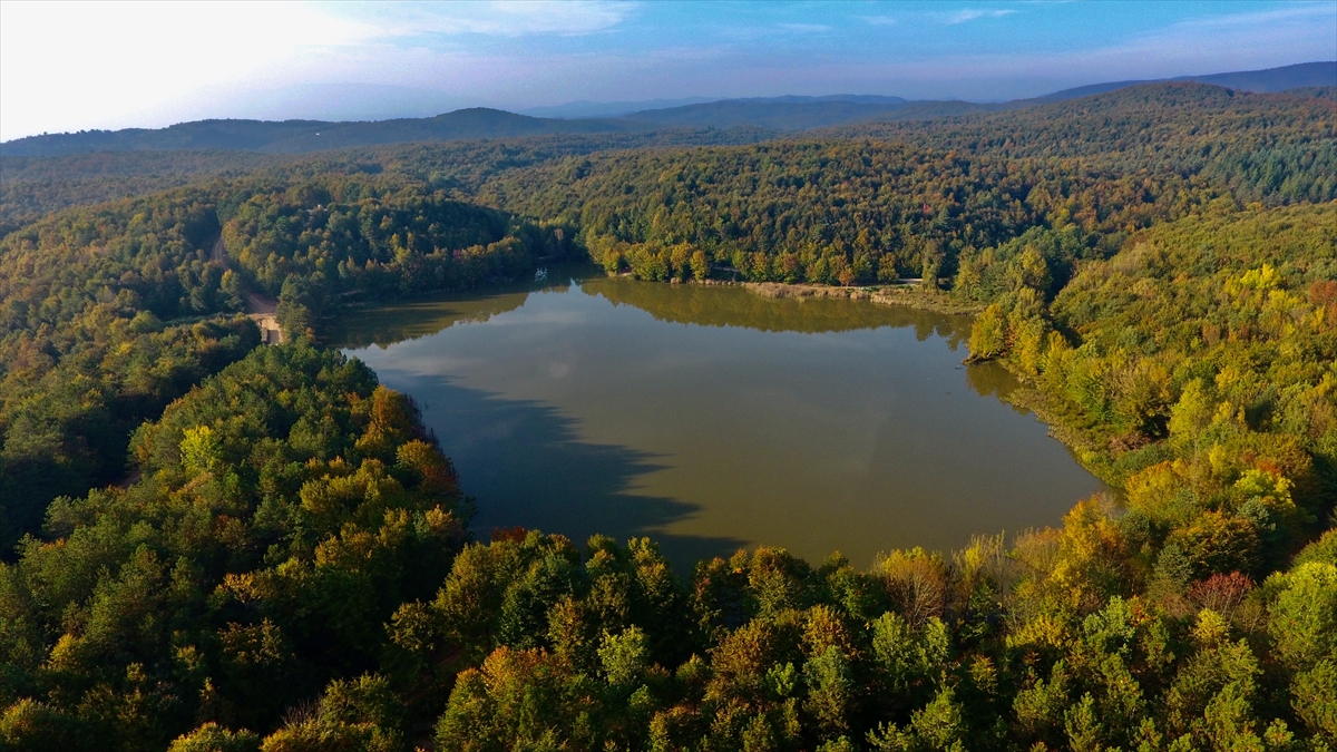 Düzce Kurugöl Tabiat Parkı'nda renk cümbüşü yaşanıyor