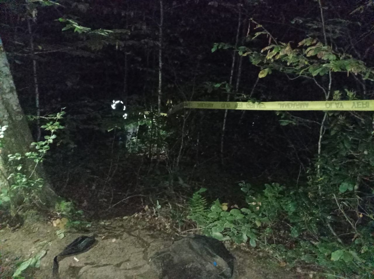 Düzce'de bir kişi iddiaya göre av sırasında “tüfeğinin ateş alması” sonucu yeğenini vurdu