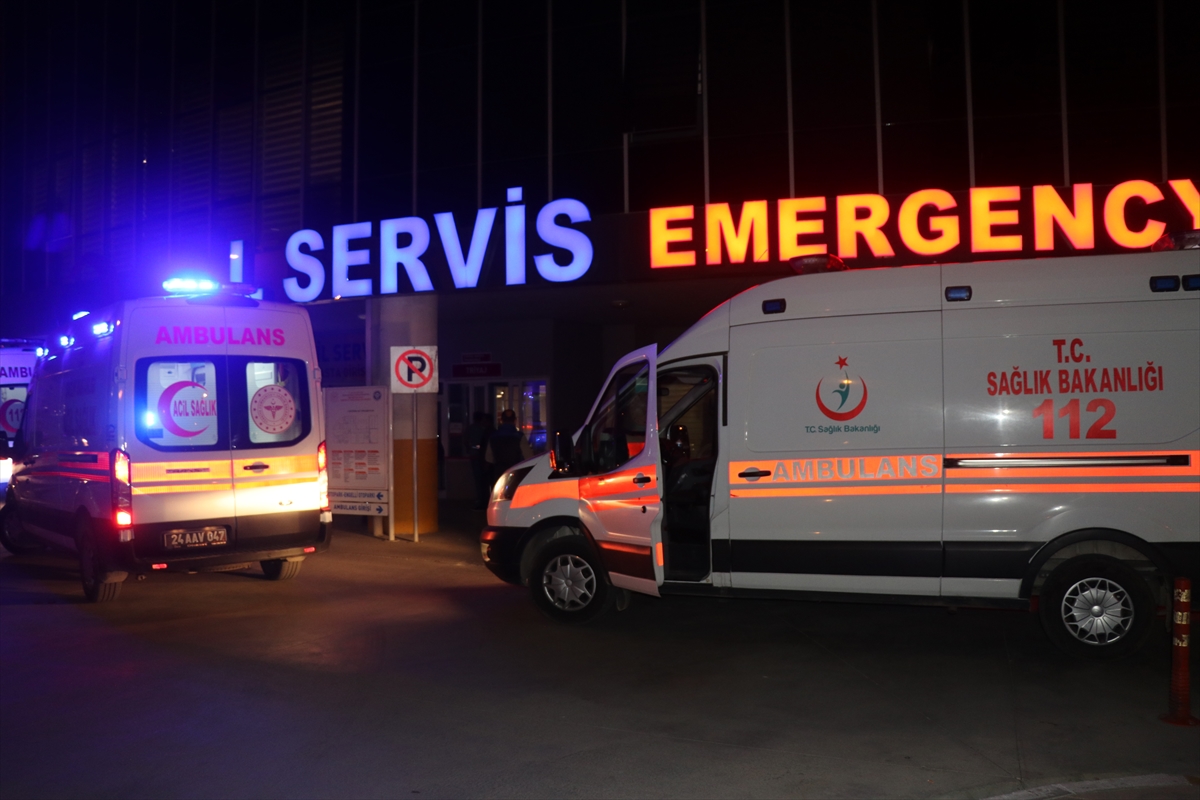 Erzincan'da bahçesinden elma toplamaya giden vatandaşa ayı saldırdı